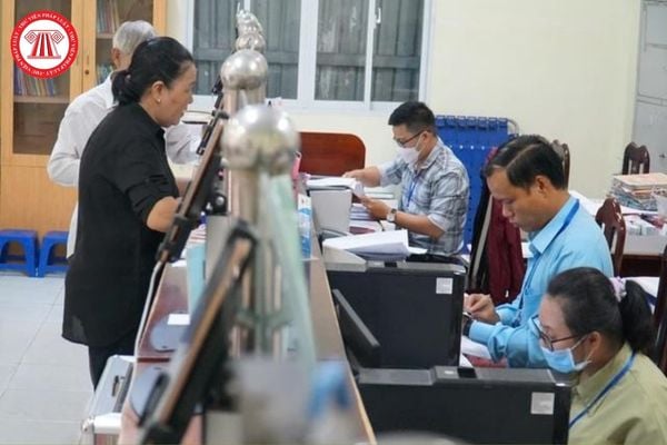 Pháp luật