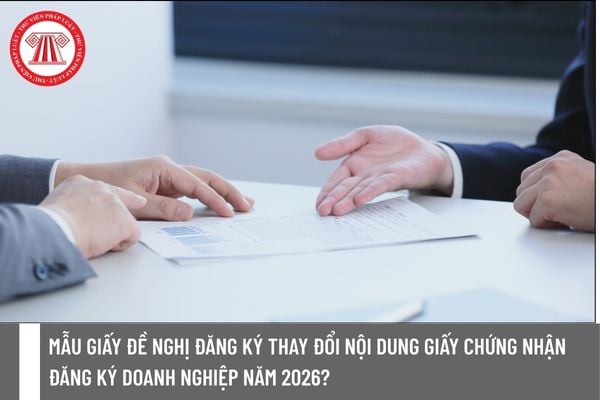 Pháp luật