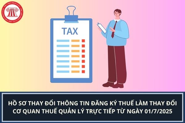 Pháp luật