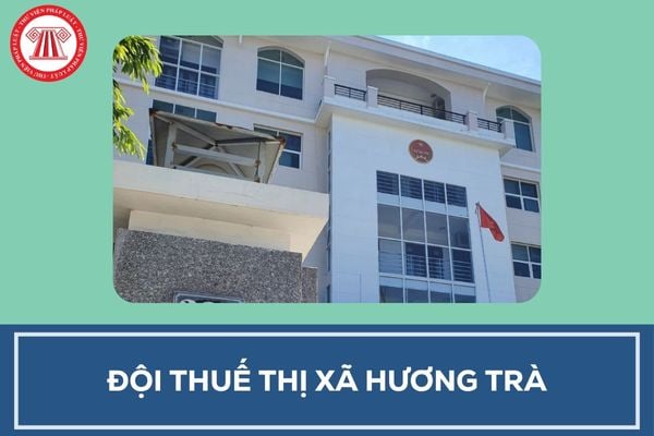 Pháp luật