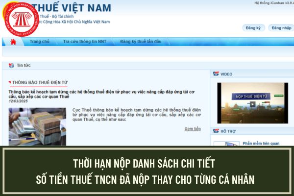 Pháp luật
