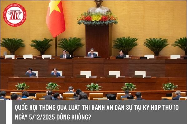 Pháp luật