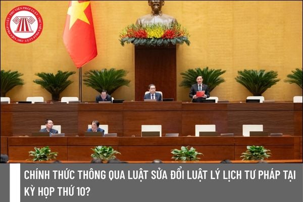Pháp luật