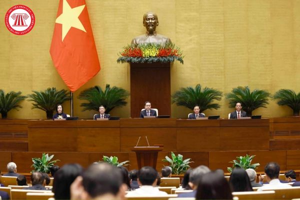 Pháp luật