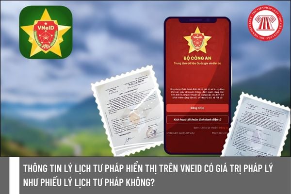 Pháp luật