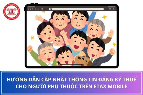 Pháp luật