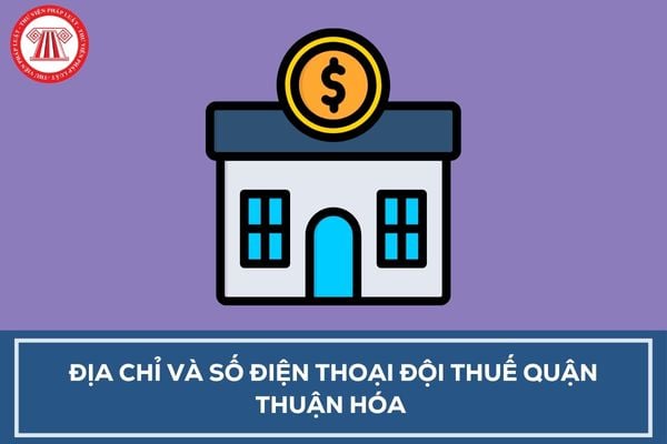 Pháp luật