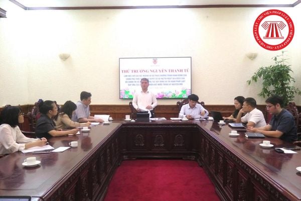 Pháp luật