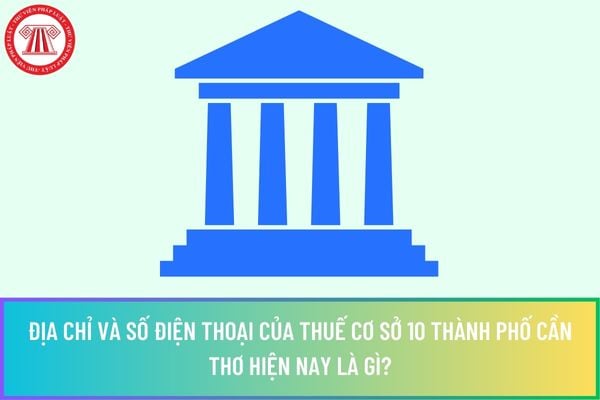 Pháp luật