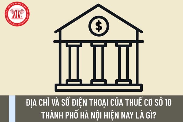 Pháp luật