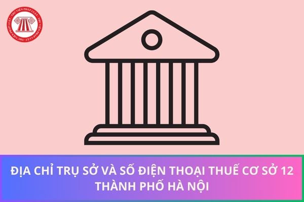 Pháp luật