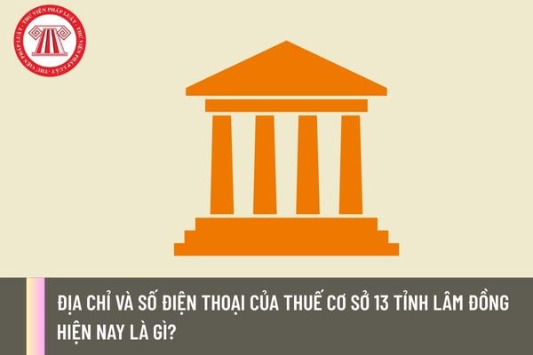 Pháp luật