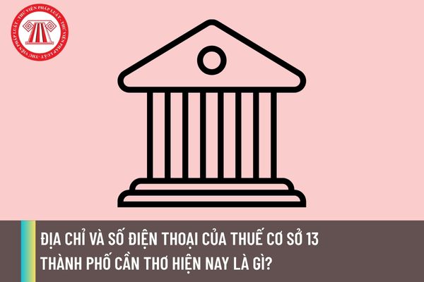 Pháp luật