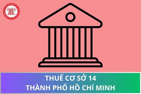Pháp luật