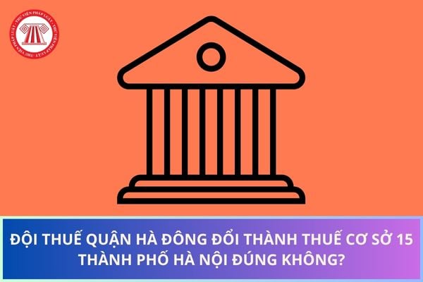 Pháp luật