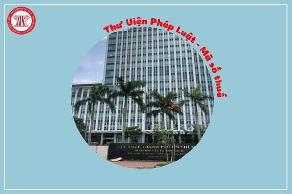 Pháp luật