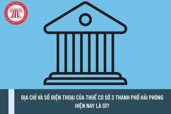 Pháp luật