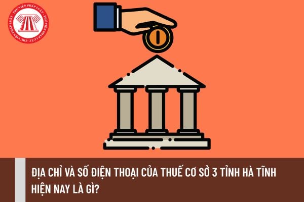 Pháp luật