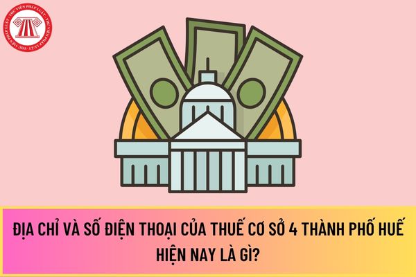 Pháp luật