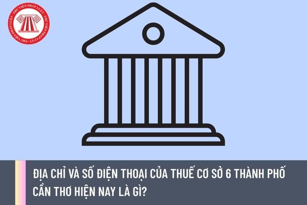 Pháp luật