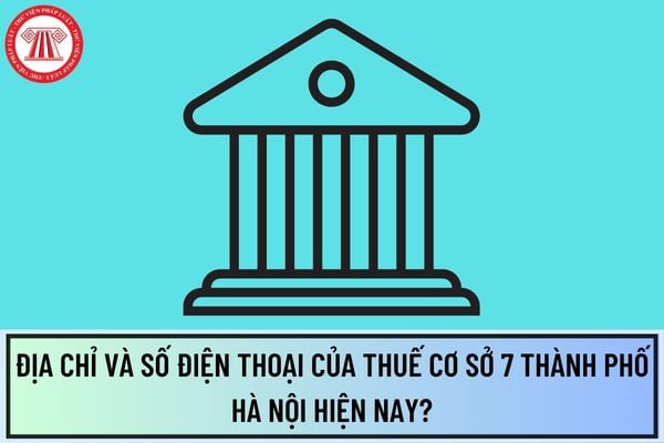 Pháp luật