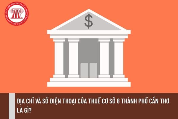 Địa chỉ và số điện thoại của Thuế cơ sở 8 thành phố Cần Thơ là gì?
