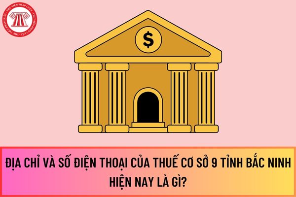 Pháp luật