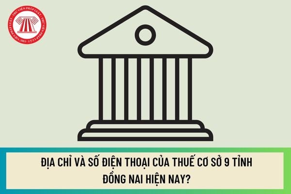 Pháp luật