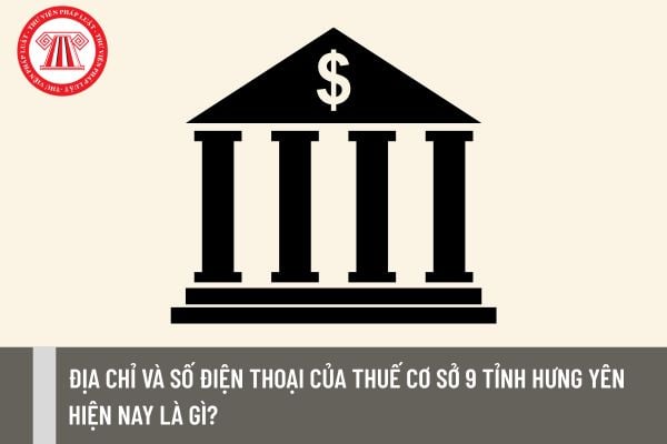 Pháp luật