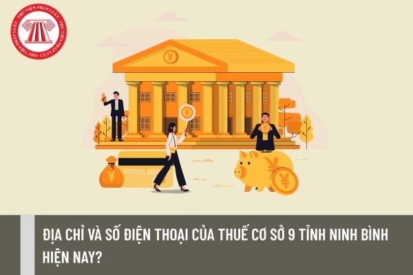 Pháp luật