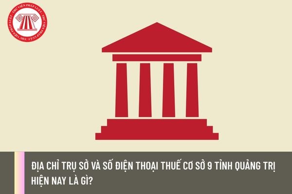 Pháp luật
