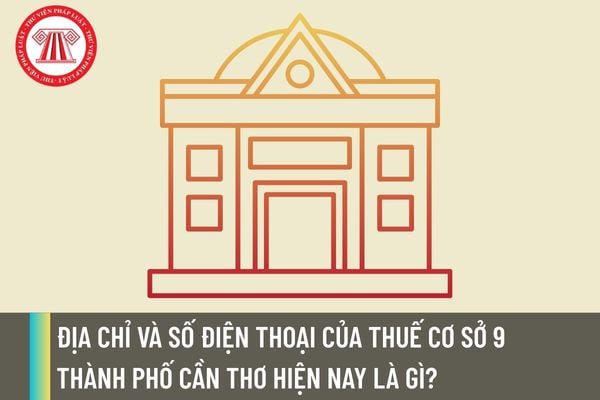 Pháp luật