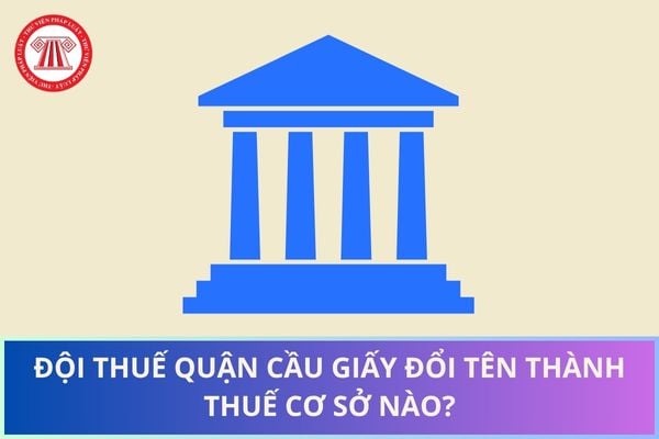 Pháp luật