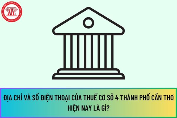 Pháp luật