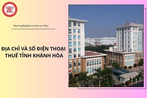 Pháp luật