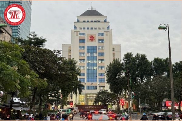 Pháp luật