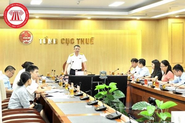Pháp luật