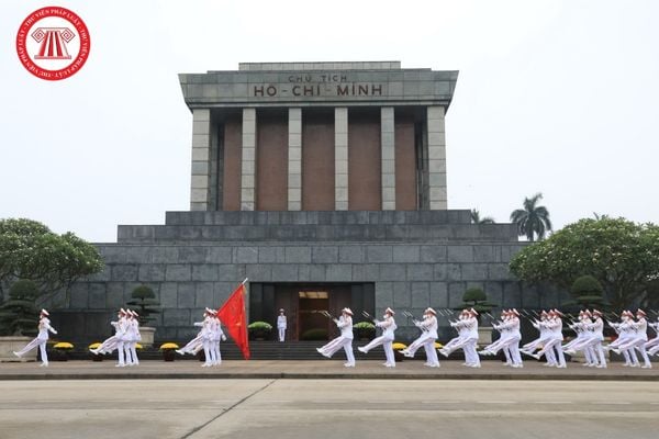 Pháp luật