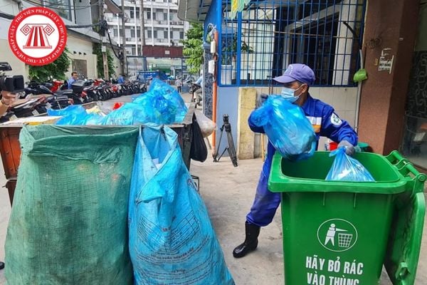 Pháp luật