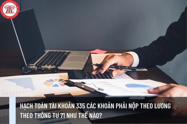 Pháp luật
