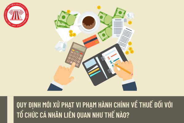 Pháp luật
