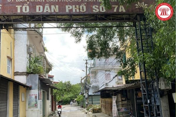 Pháp luật