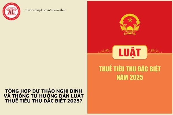 Tổng hợp dự thảo Nghị định và Thông tư hướng dẫn Luật Thuế tiêu thụ đặc biệt 2025?