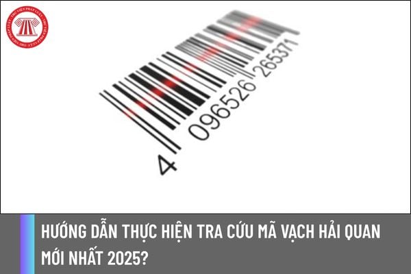 Hướng dẫn thực hiện tra cứu mã vạch hải quan mới nhất 2025?
