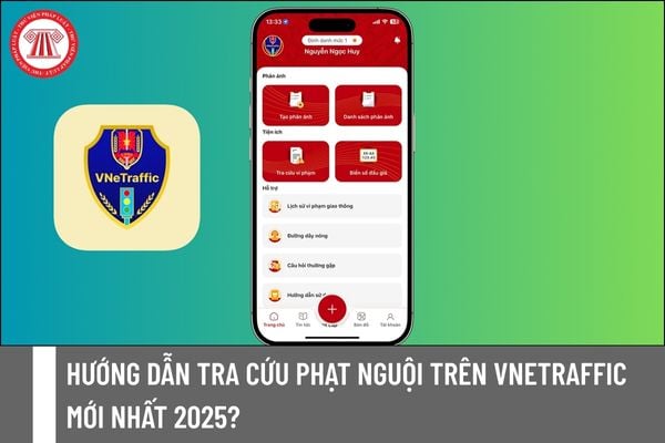 Pháp luật