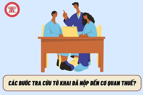 Pháp luật