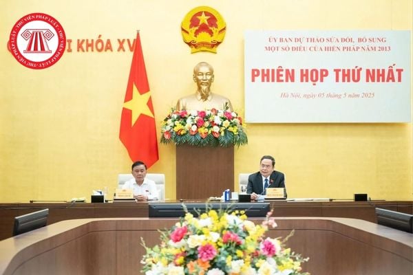 Pháp luật