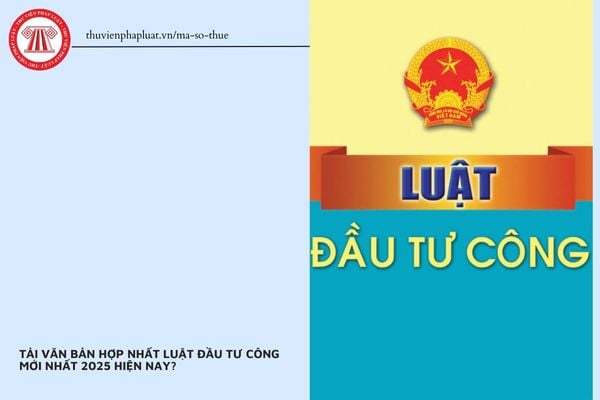 Pháp luật