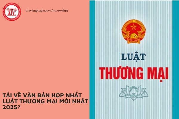 Pháp luật