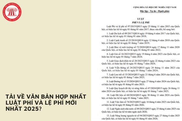Pháp luật